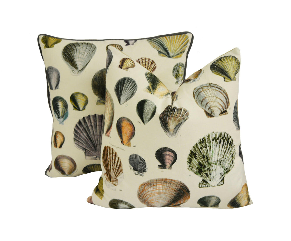 Designers Guild - John Derian - Captain Thomas Browns Shells - Oyster - Cushion Cover Throw Pillow Designer Home Decor.