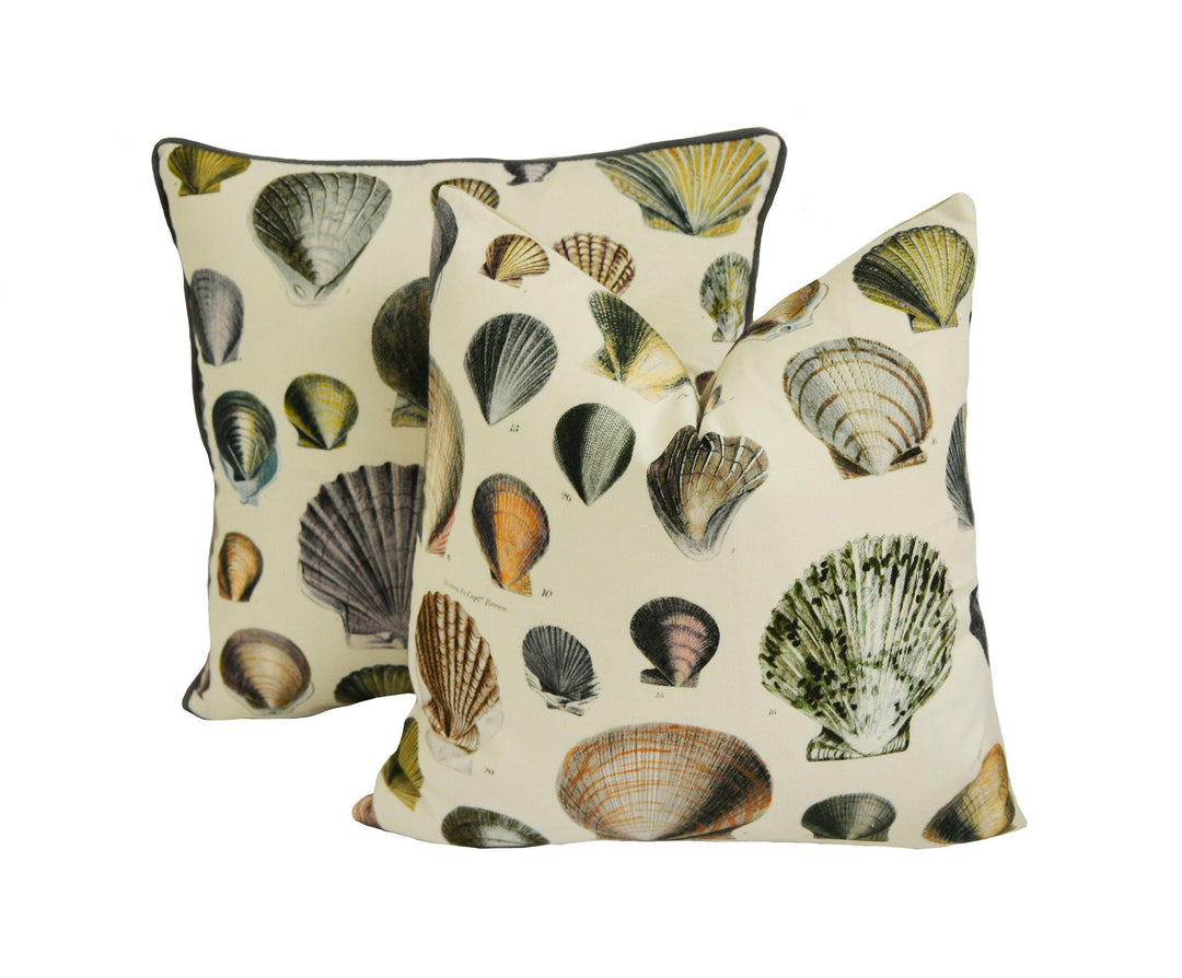 Designers Guild - John Derian - Captain Thomas Browns Shells - Oyster - Cushion Cover Throw Pillow Designer Home Decor.