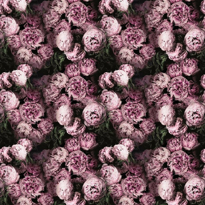 Designers Guild - Vespertina - Blossom - Stunning Contrast Piped Cushion Cover Throw Pillow Designer Home Decor.
