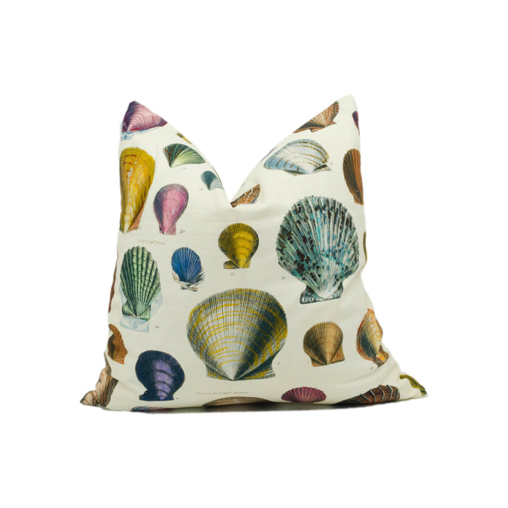 Designers Guild - John Derian - Captain Thomas Browns Shells - Sepia - Cushion Cover Throw Pillow Designer Home Décor.