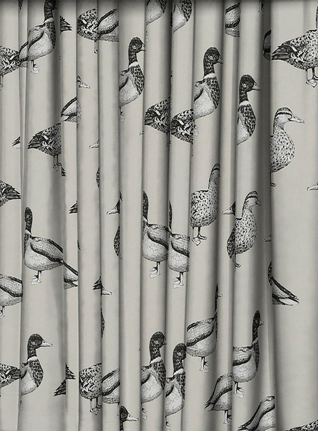 Prestigious Textiles - Duck - Canvas -  Made to Measure Curtains + buy by the metre.