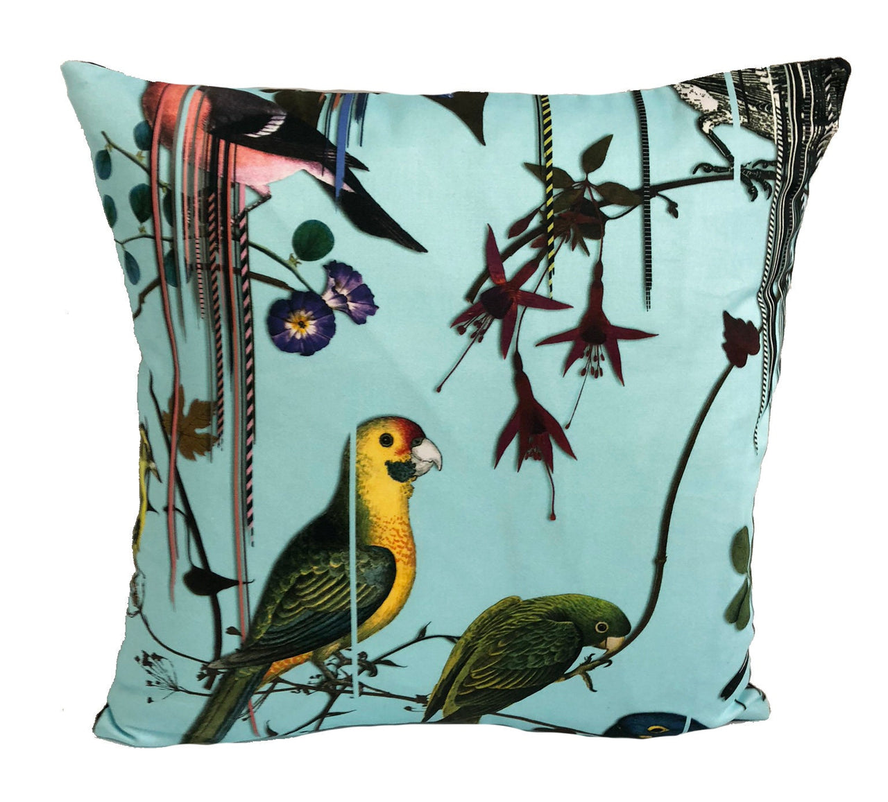 Designers Guild / Christian Lacroix - Birds Sinfonia - Source - Cushion Cover Throw Pillow Designer Home Decor