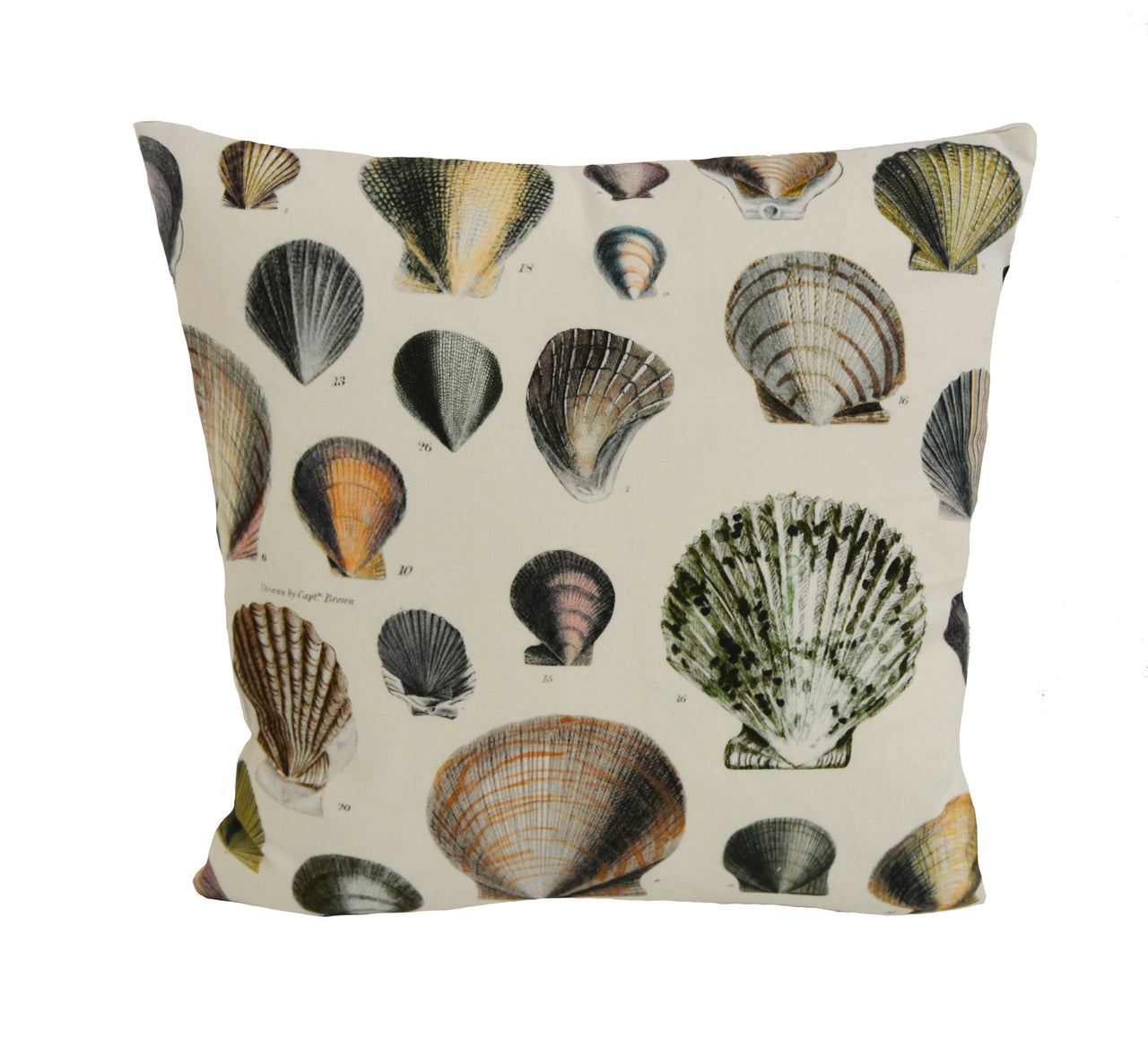 Designers Guild - John Derian - Captain Thomas Browns Shells - Oyster - Cushion Cover Throw Pillow Designer Home Decor