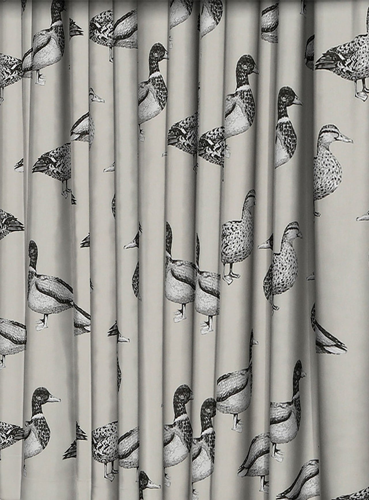 Prestigious Textiles - Duck - Canvas -  Made to Measure Curtains + buy by the metre