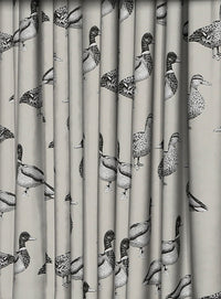 Thumbnail for Prestigious Textiles - Duck - Canvas -  Made to Measure Curtains + buy by the metre