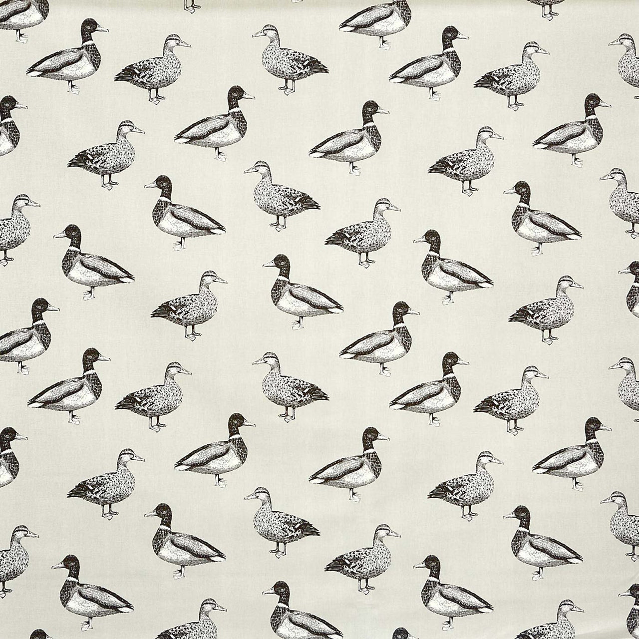 Prestigious Textiles - Duck - Canvas -  Made to Measure Curtains + buy by the metre