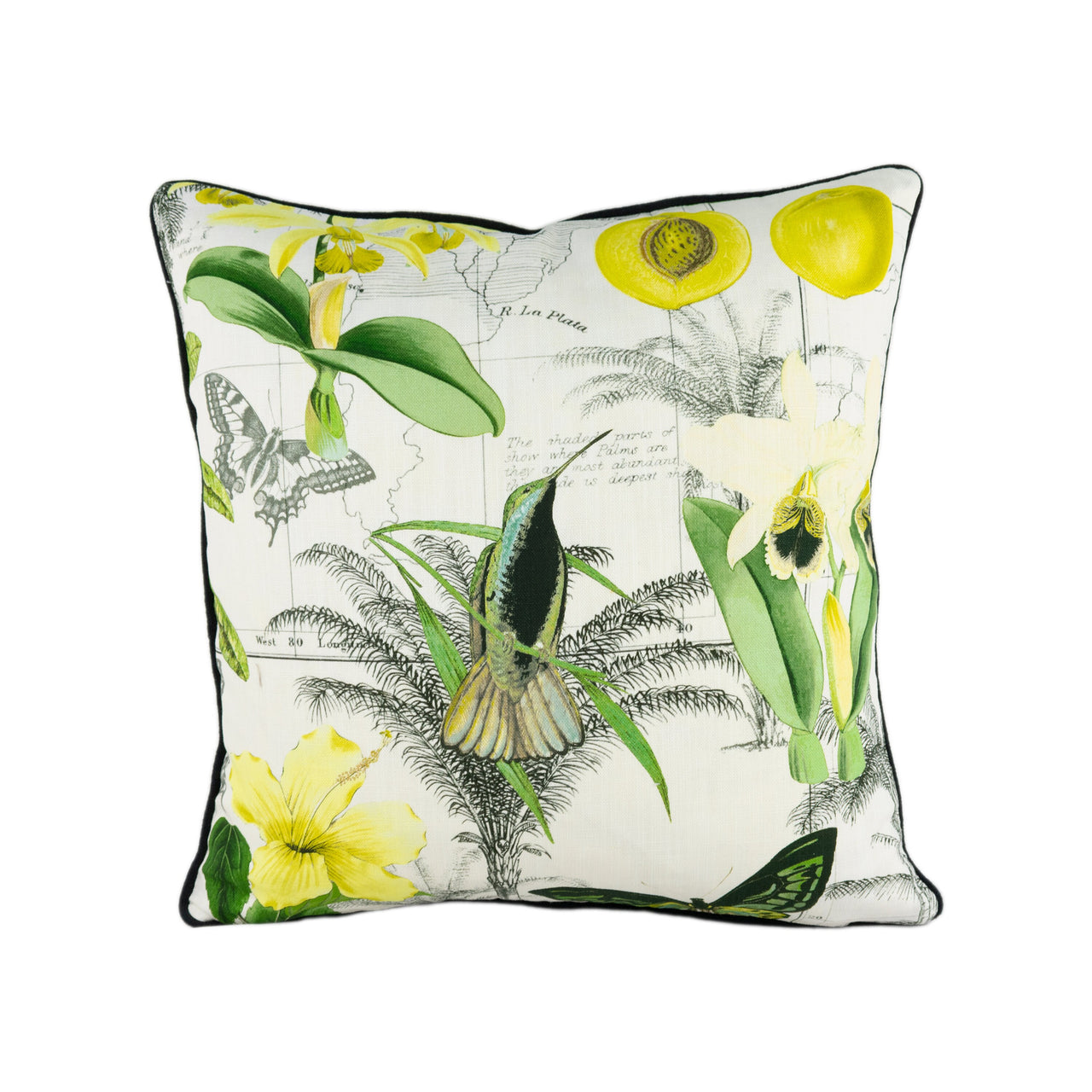 GP & J Baker - Baker Lifestyle - Orinoco - Citrus - Stunning Contrast Piped Designer Cushion Cover Home Décor Throw Pillow