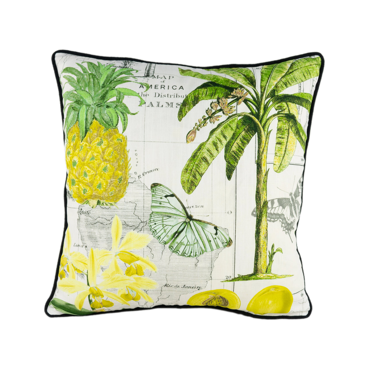 GP & J Baker - Baker Lifestyle - Orinoco - Citrus - Stunning Contrast Piped Designer Cushion Cover Home Décor Throw Pillow