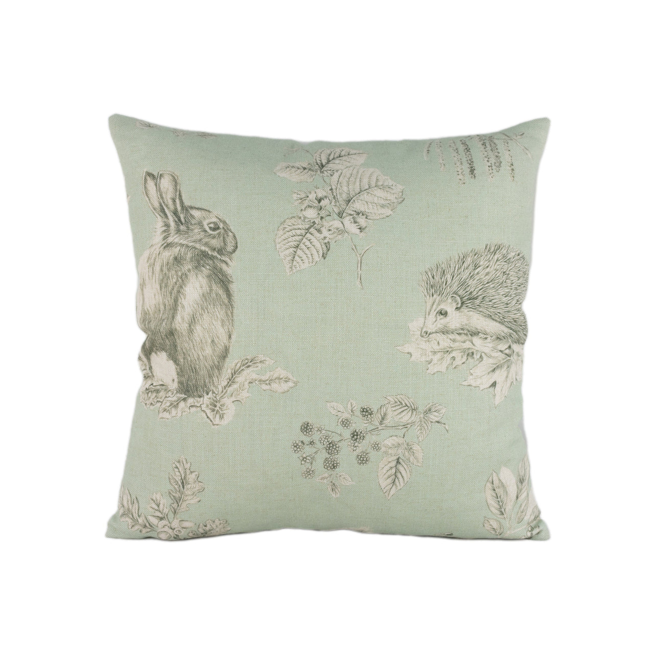 Sanderson - Squirrel & Hedgehog - Seaspray / Charcoal - Stunning Designer Cushion Cover Home Décor Throw Pillow