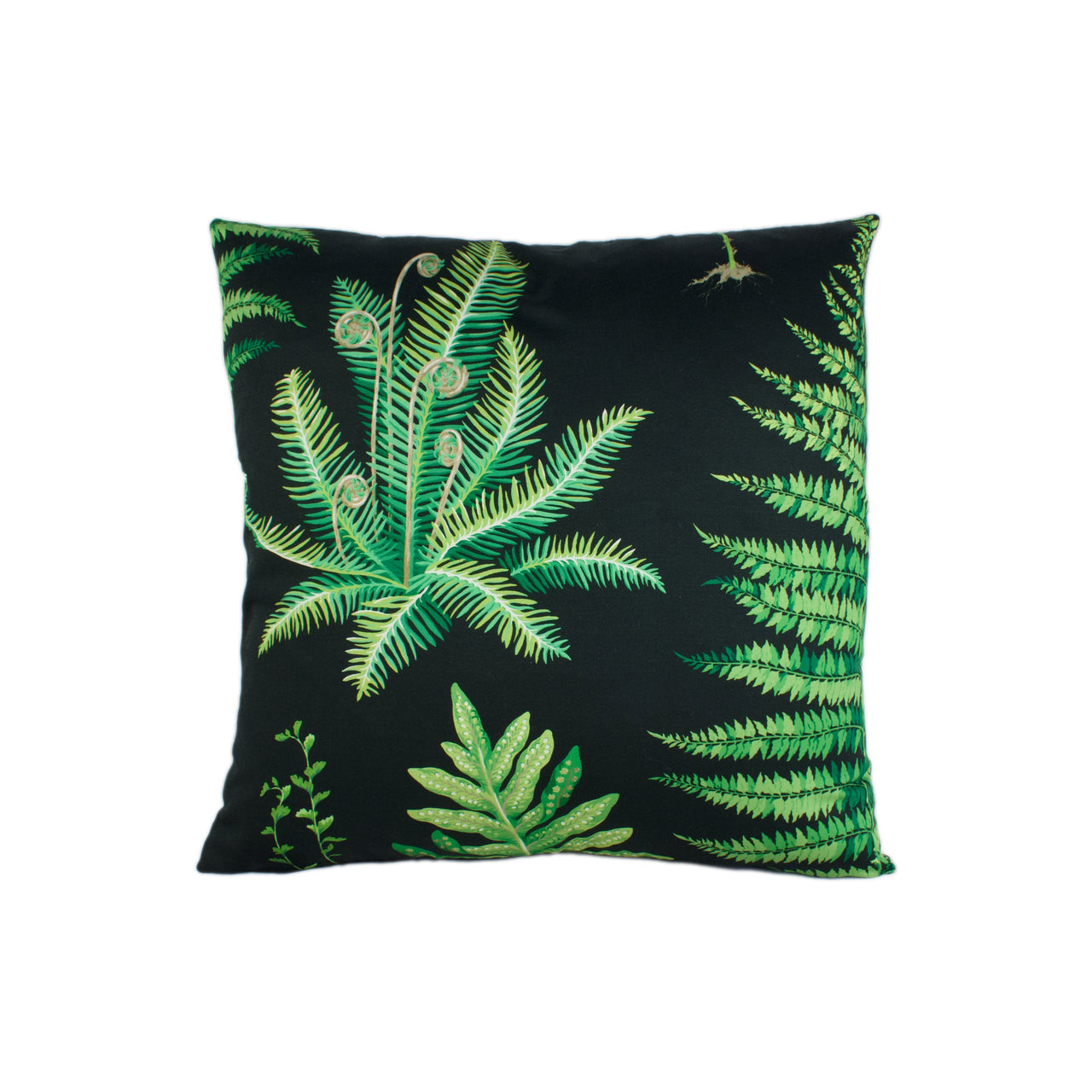 Sanderson - Fernery - Botanical Green / Charcoal - Stunning Designer Cushion Cover Home Décor Throw Pillow