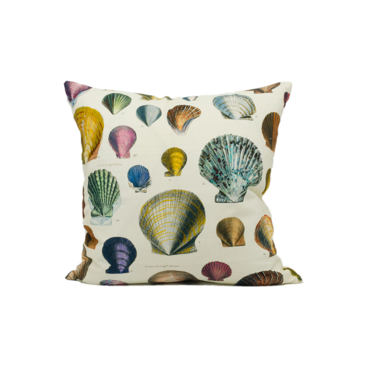 Designers Guild - John Derian - Captain Thomas Browns Shells - Sepia - Cushion Cover Throw Pillow Designer Home Décor